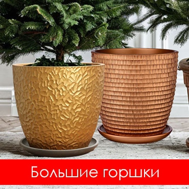 Большие горшки и кашпо для растений